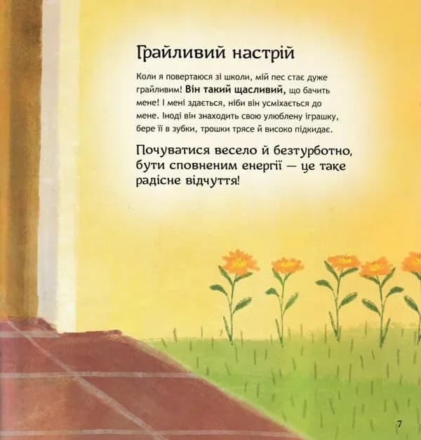 Безліч емоцій. Що означає кожна? Частина 1  — мініатюра 6
