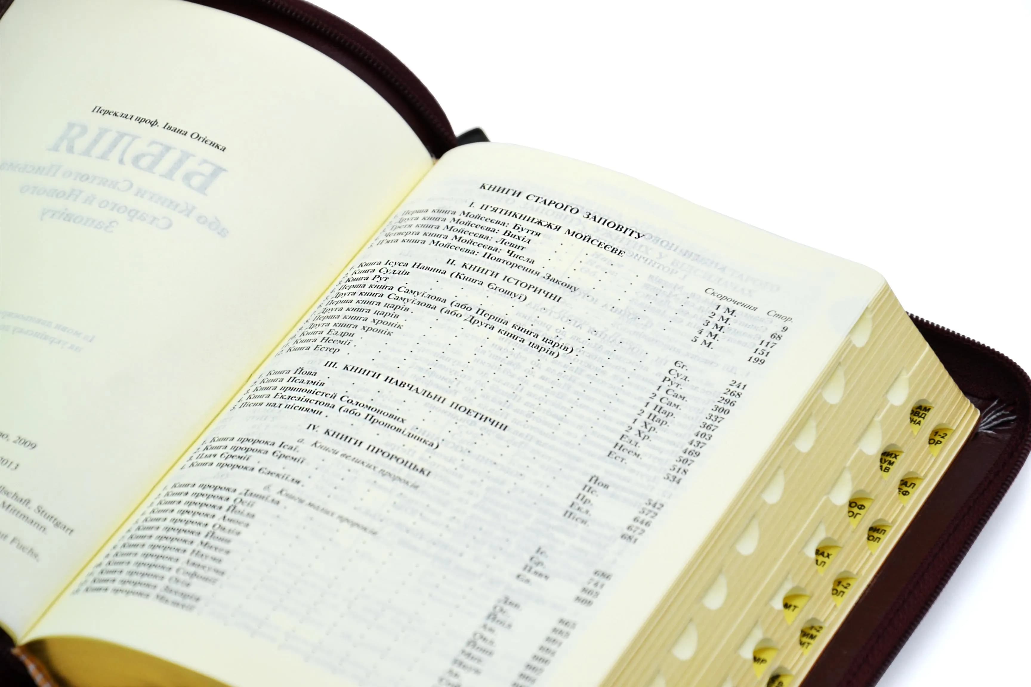 Біблія 101-49-03 ОГ бордова — мініатюра 4