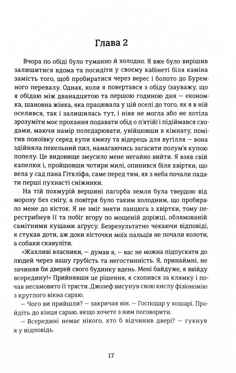 Буремний перевал — мініатюра 8