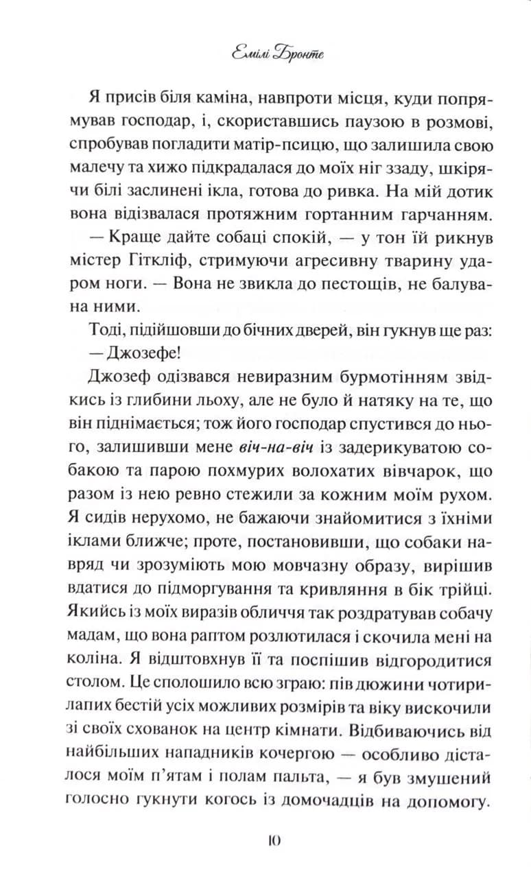 Буремний Перевал  — мініатюра 7