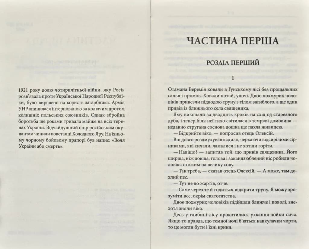 Чорний ворон. Залишенець (кінообкладинка) — мініатюра 2