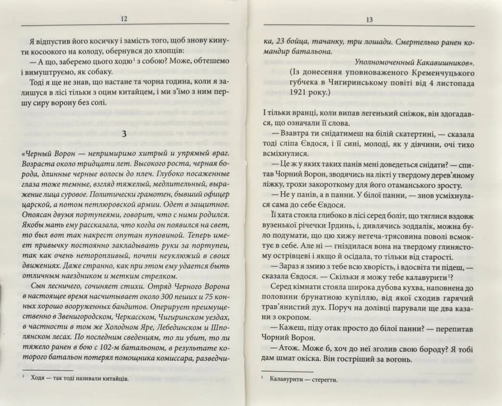 Чорний ворон. Залишенець (кінообкладинка) — мініатюра 5