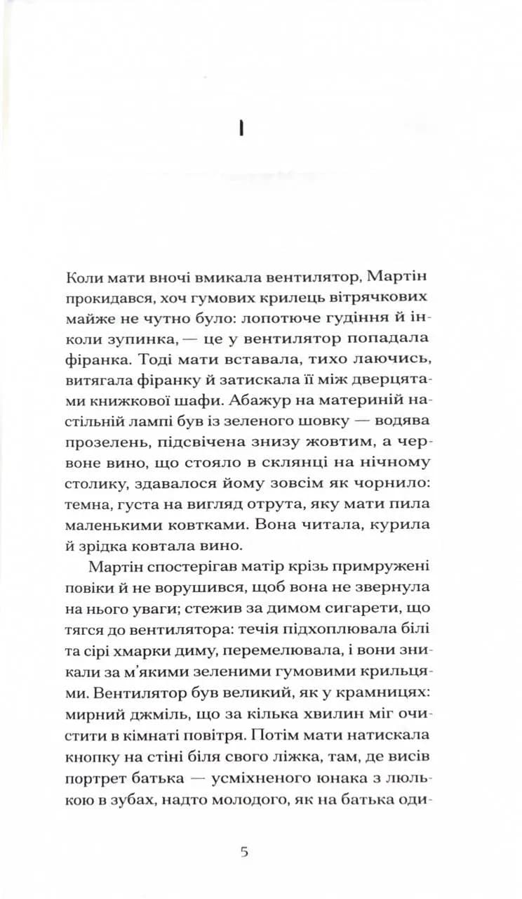 Дім без господаря — мініатюра 2