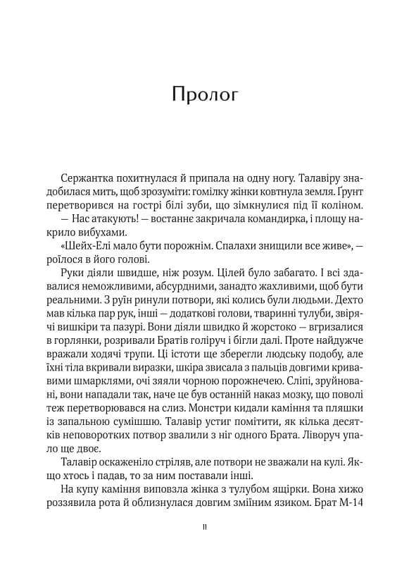Дім солі — мініатюра 2
