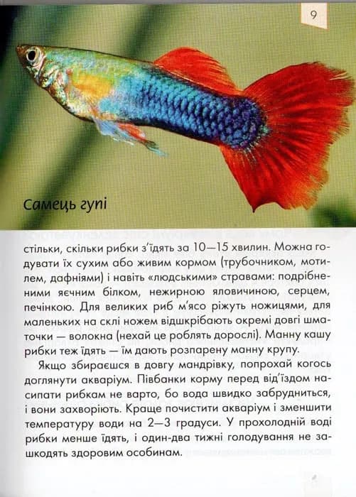 Домашні улюбленці. Енциклопедія для допитливих — мініатюра 8