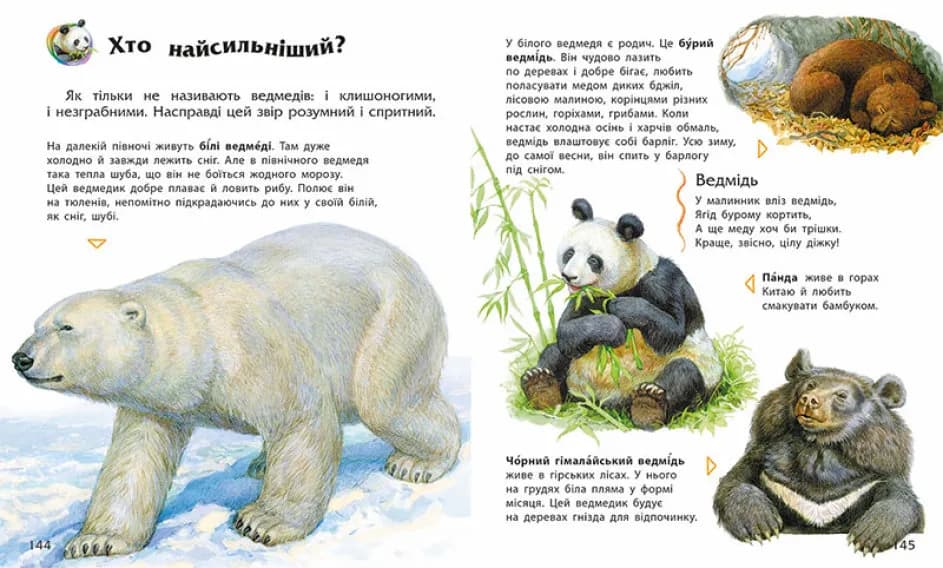 Енциклопедія дошкільника (збірник) — мініатюра 2