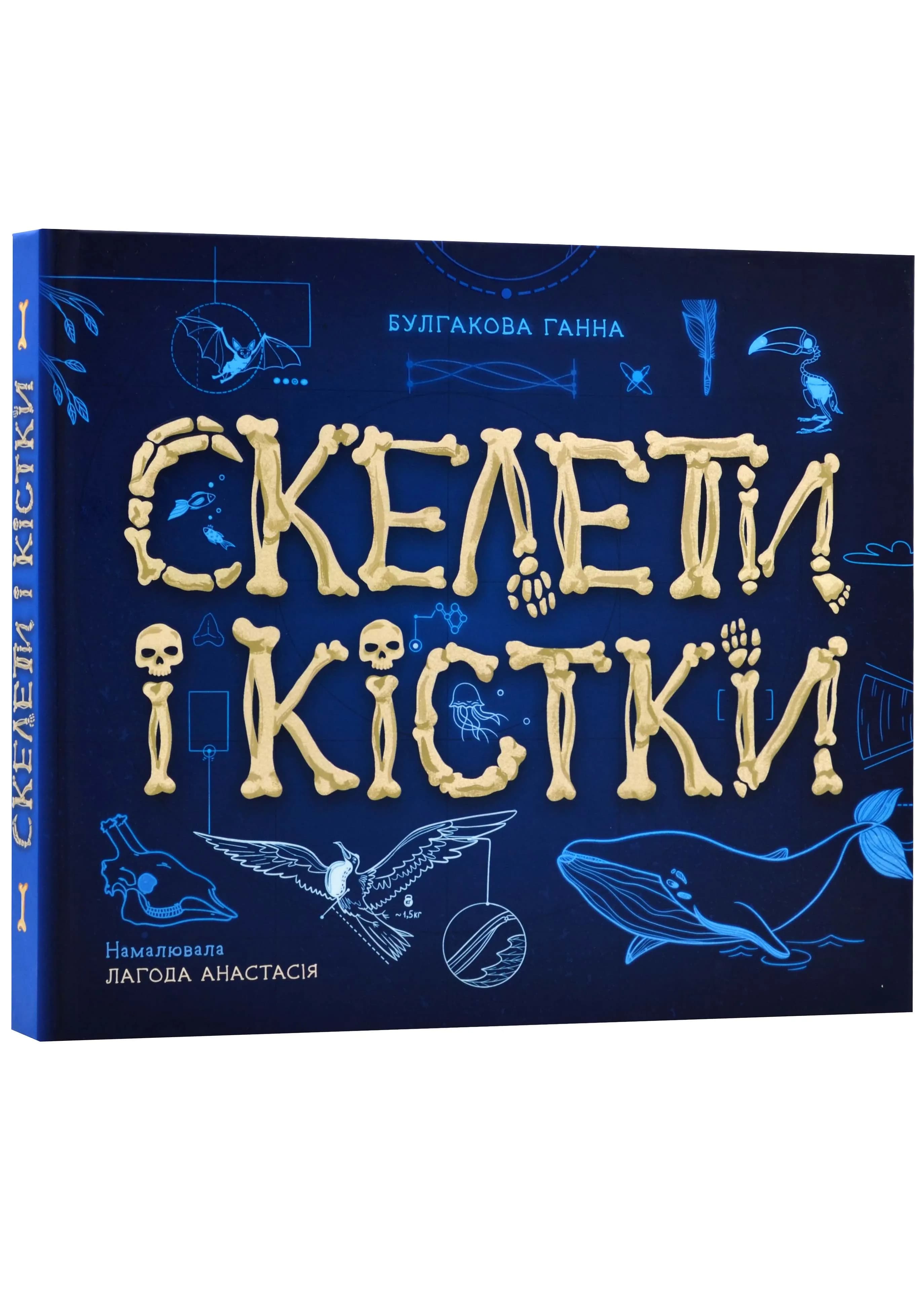 Енциклопедія з віконцями: Скелети і кістки