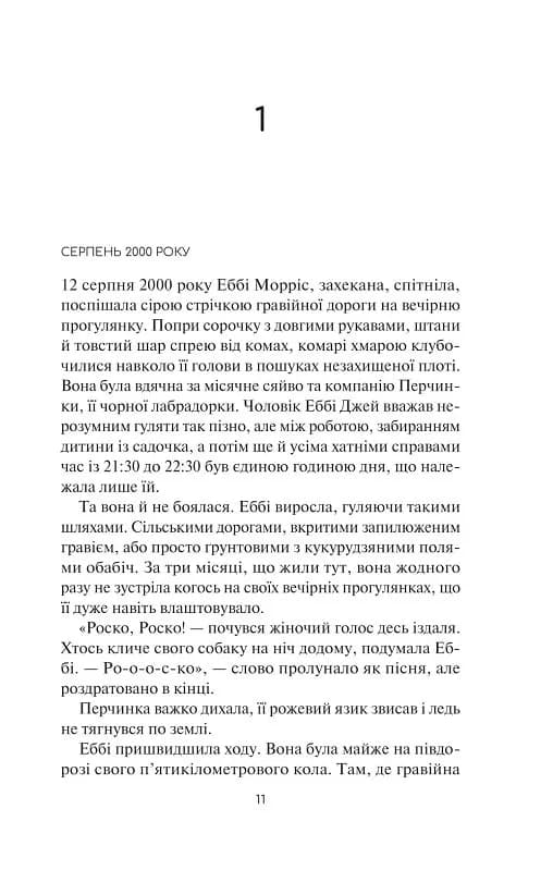 Гостя проти ночі — мініатюра 2