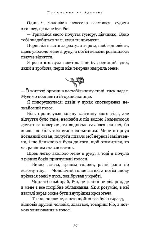 Гра в кота і мишу. Книга 2. Полювання на Аделіну — мініатюра 14
