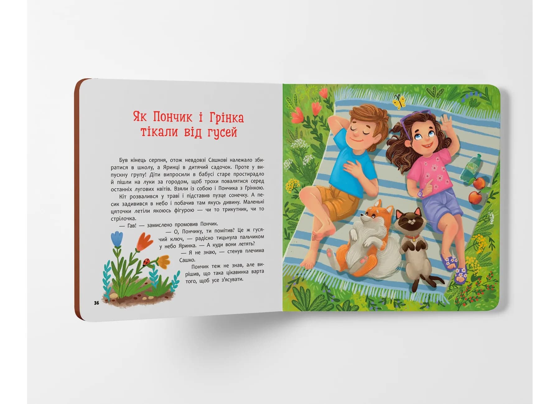Хвостаті пригоди. Пончик та Грінка. Канікули за містом — мініатюра 8