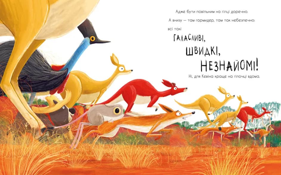 Як коалу гуляти викликали — мініатюра 5