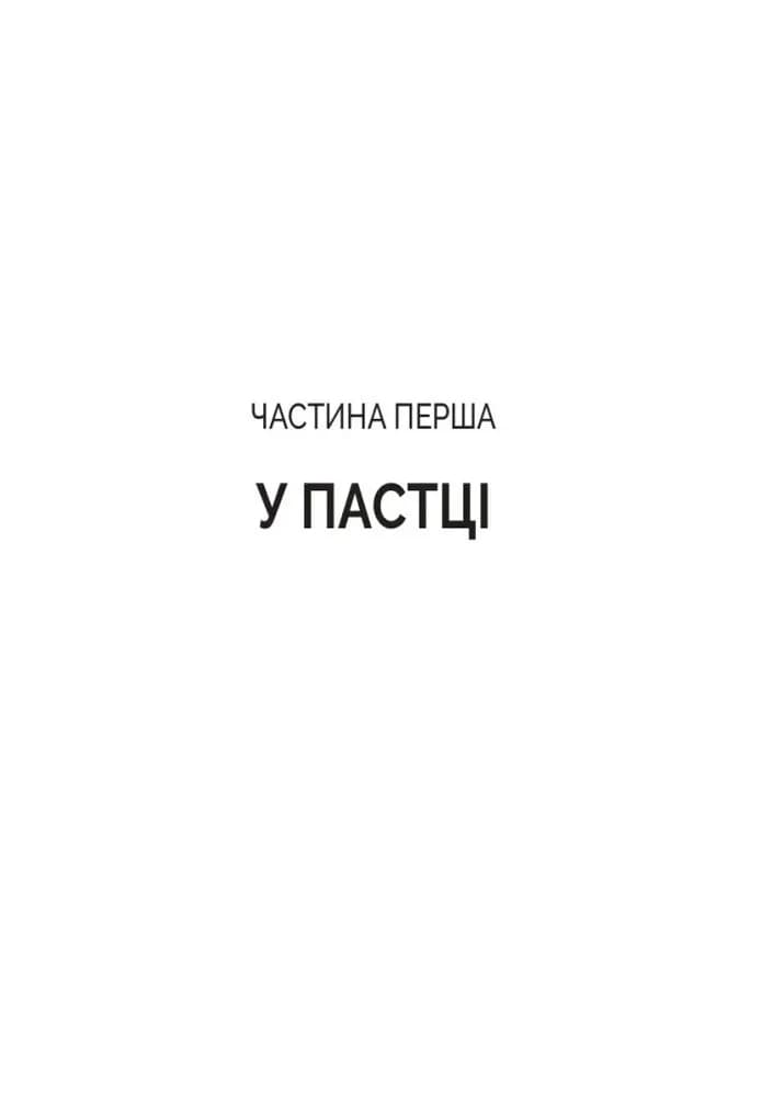 Кайданів нема — мініатюра 6