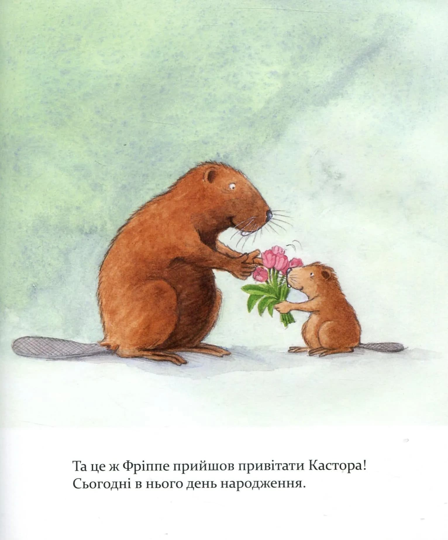 Кастор - на всі лапи майстер. Кастор пече пиріг та вирощує квасолю — мініатюра 3