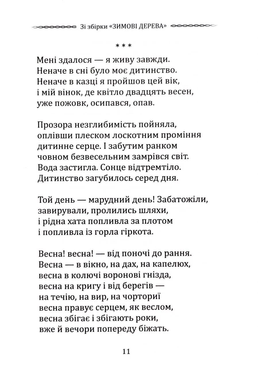Класика української літератури: Василь Стус. Вибрана поезія — мініатюра 8