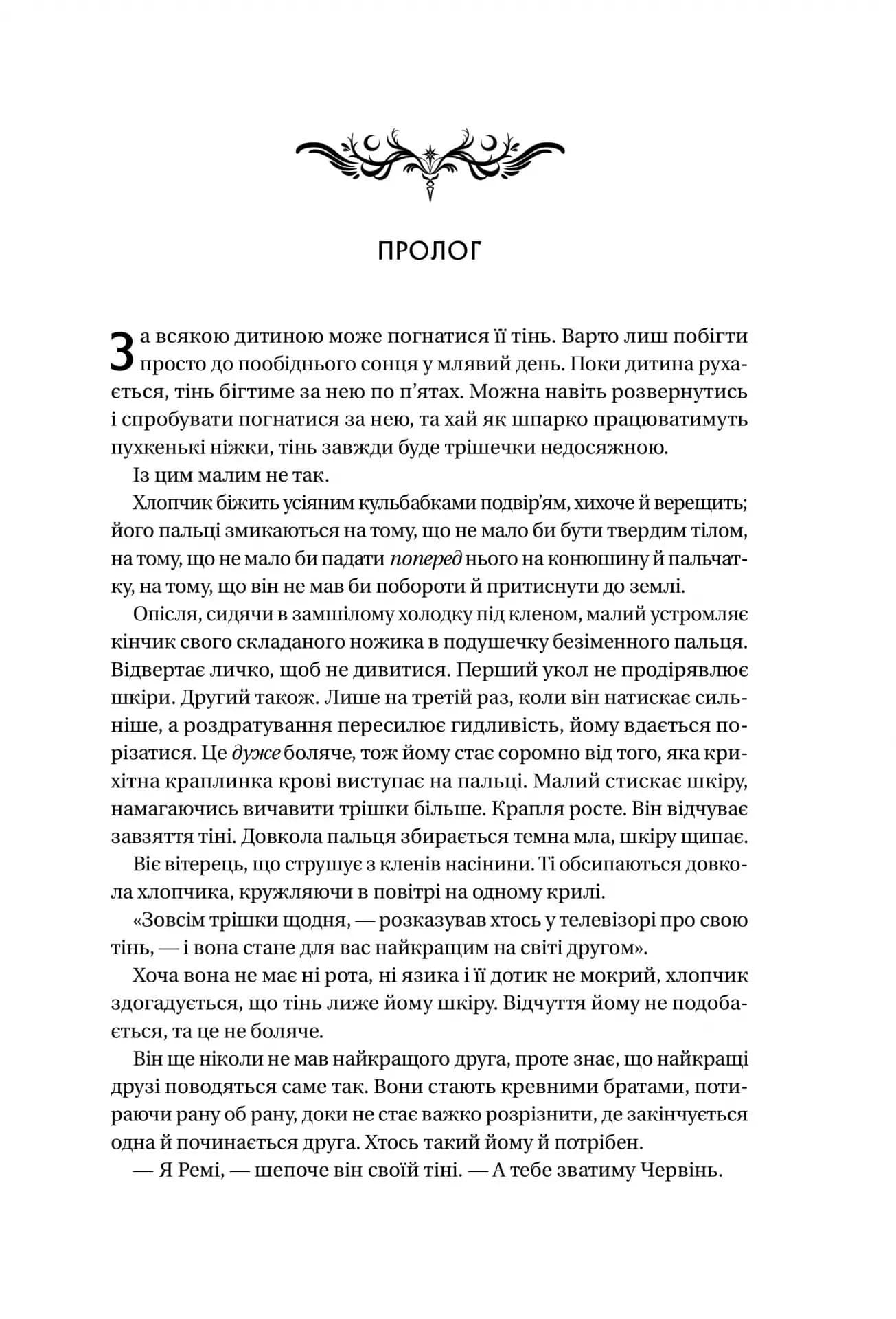 Книга ночі — мініатюра 3