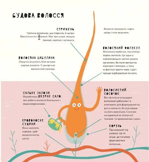 Книжка про волосся — мініатюра 5