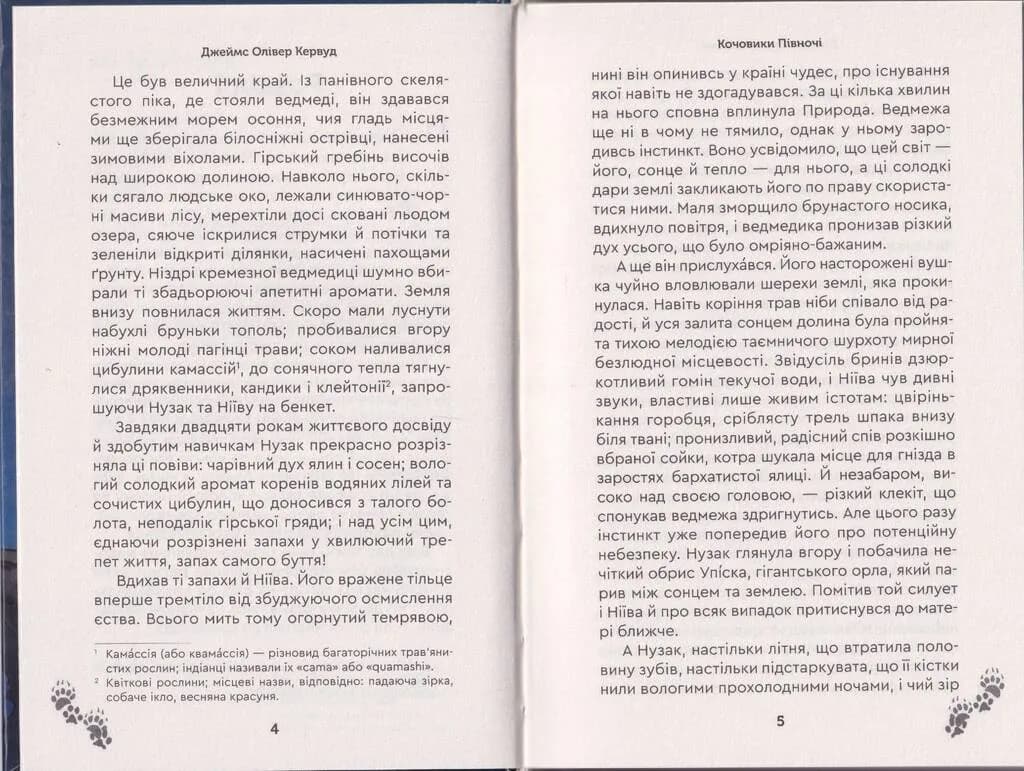 Кочовики півночі — мініатюра 3