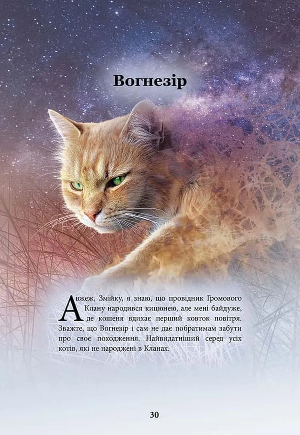 Коти-вояки. Герої кланів. Хроніки Зореклану — мініатюра 4