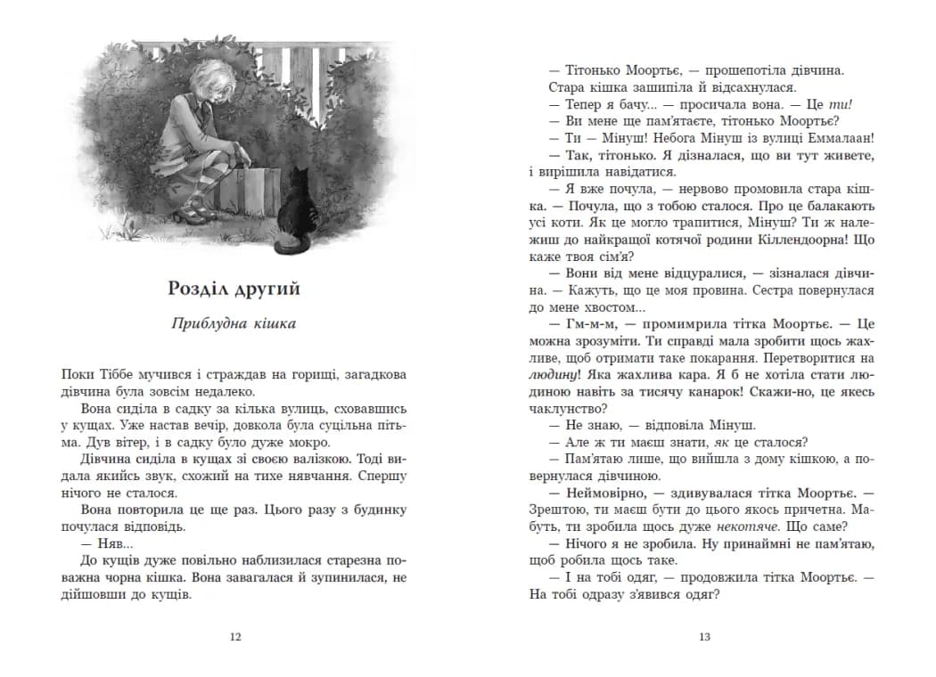Мінуш — мініатюра 6