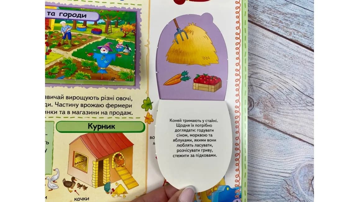 Моя перша енциклопедія. 82 віконця — мініатюра 5