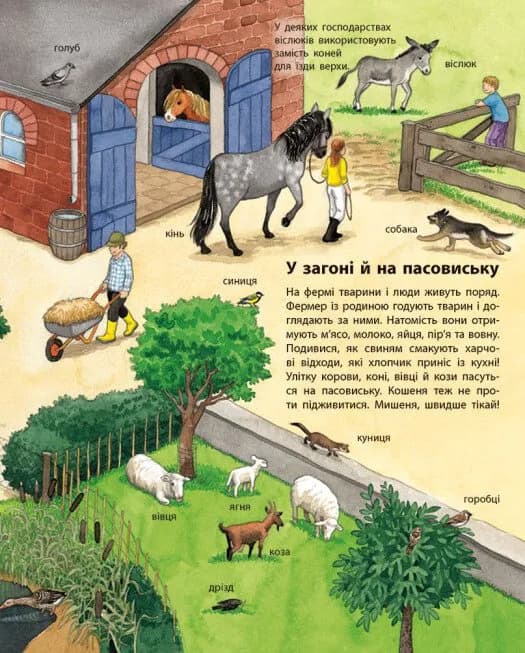 Моя перша мальована енциклопедія. Тварини — мініатюра 3