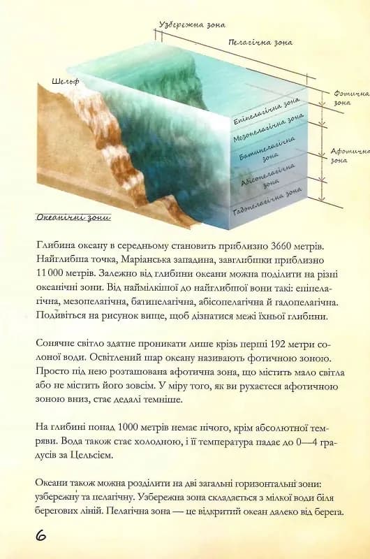 Морські тварини світу  — мініатюра 6