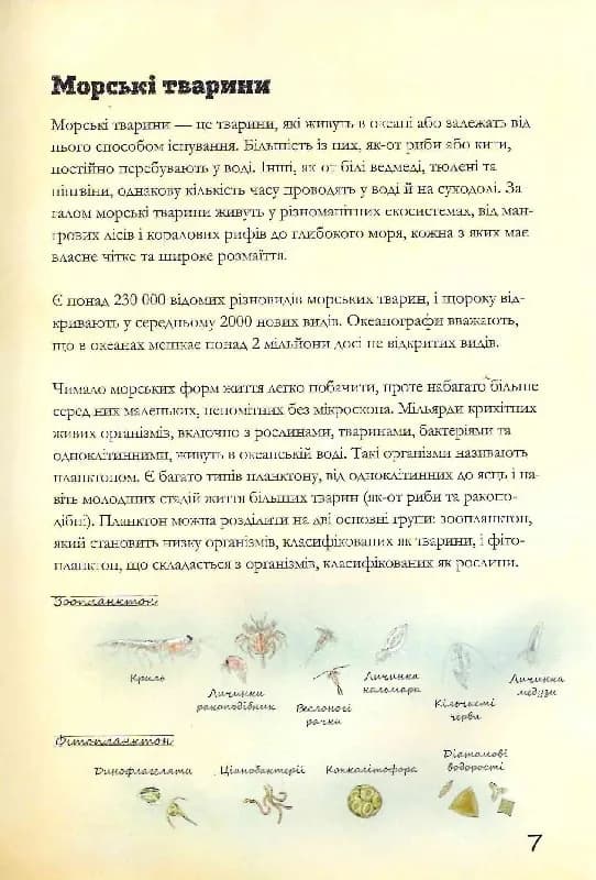 Морські тварини світу  — мініатюра 7