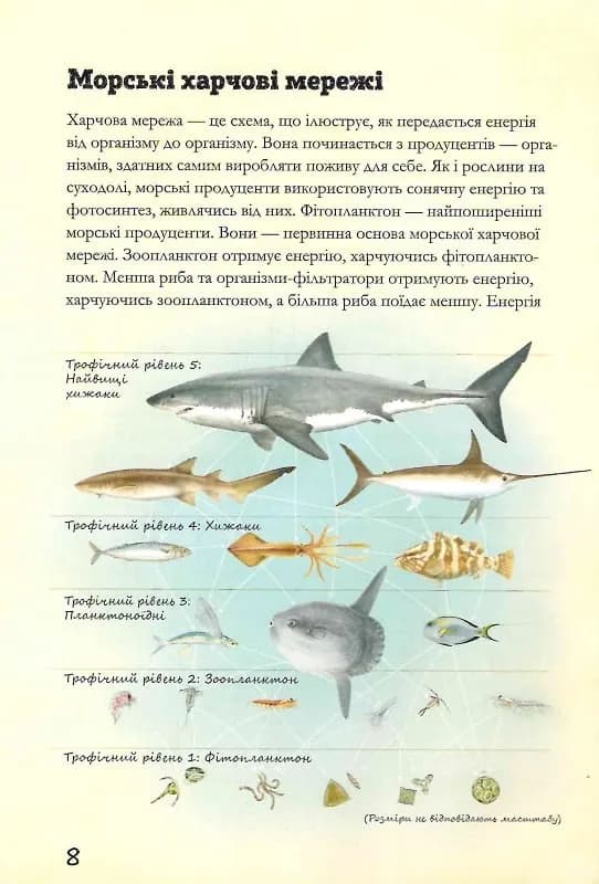 Морські тварини світу  — мініатюра 8