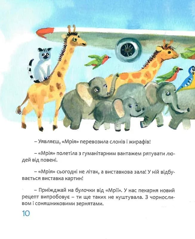 Мрія: Небесні авіалінії (Тверда) — мініатюра 9