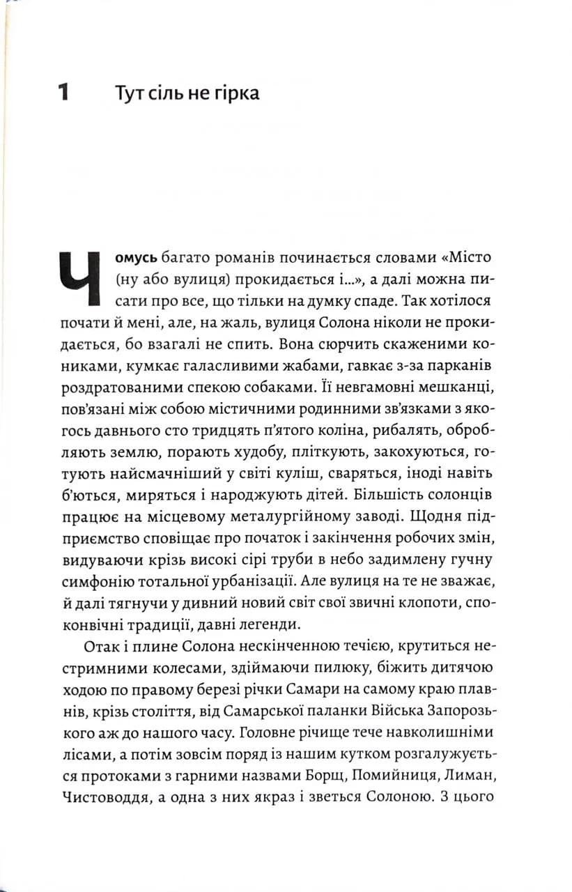 На вулиці Солоній  — мініатюра 2