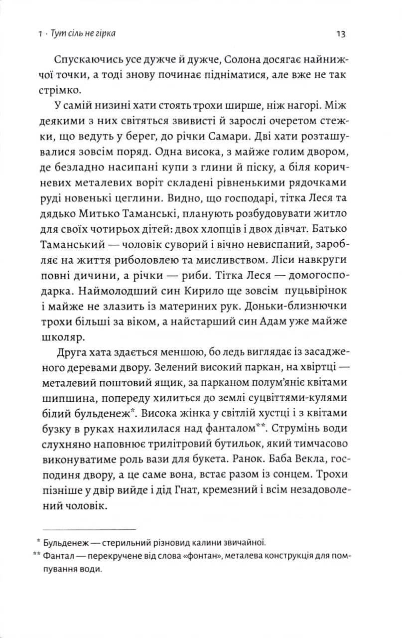 На вулиці Солоній  — мініатюра 4
