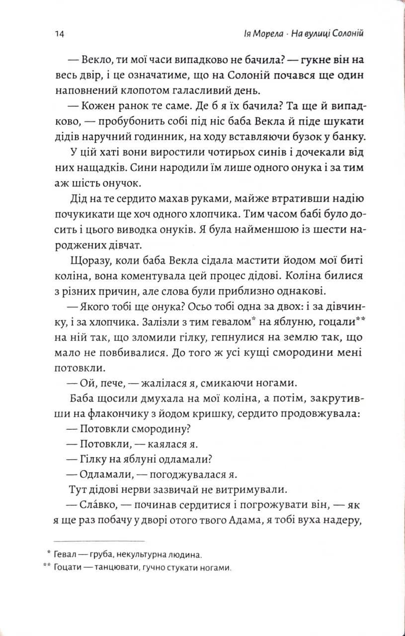 На вулиці Солоній  — мініатюра 5