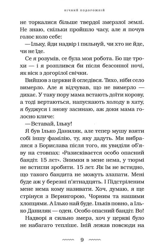 Нічний подорожній — мініатюра 7