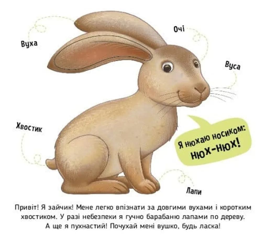 Познайомся і погладь: Лісові тварини — мініатюра 3