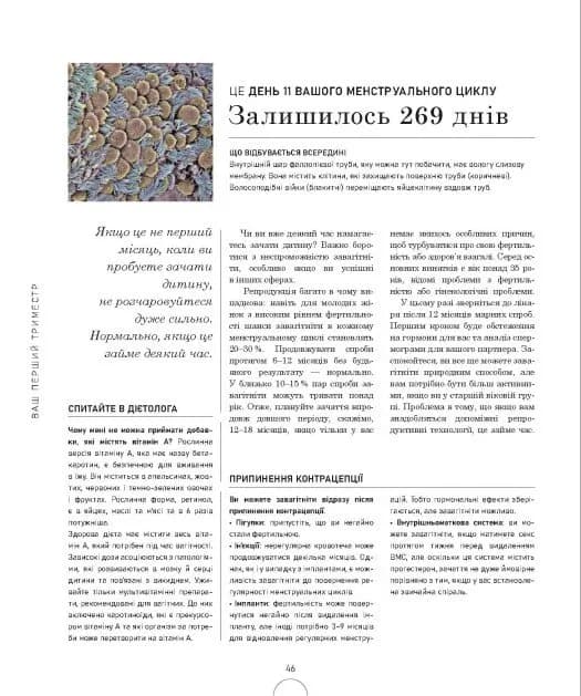 Вагітність день за днем — мініатюра 6