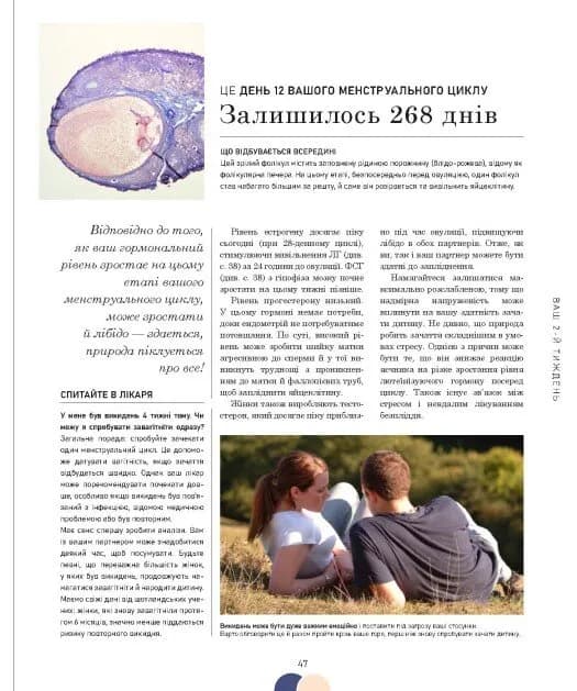 Вагітність день за днем — мініатюра 7