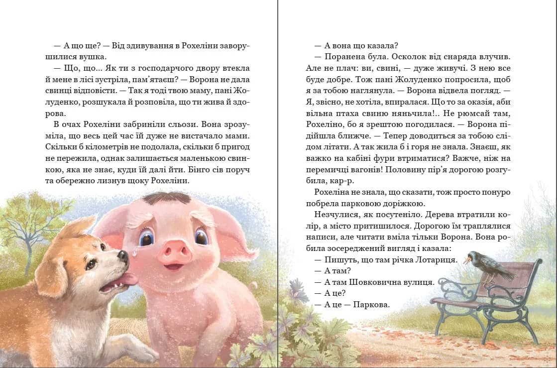 Рохеліна Жолуденко та Бінго. Моя перша бібліотека — мініатюра 7