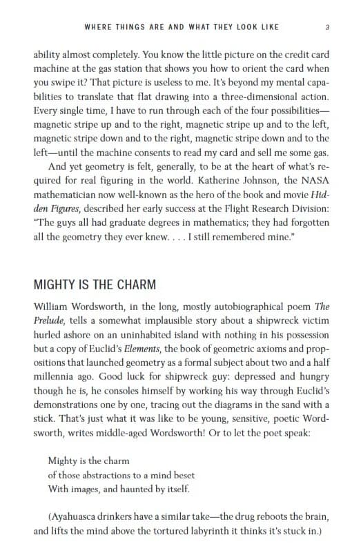 Shape. The Hidden Geometry of Absolutely Everything — мініатюра 8