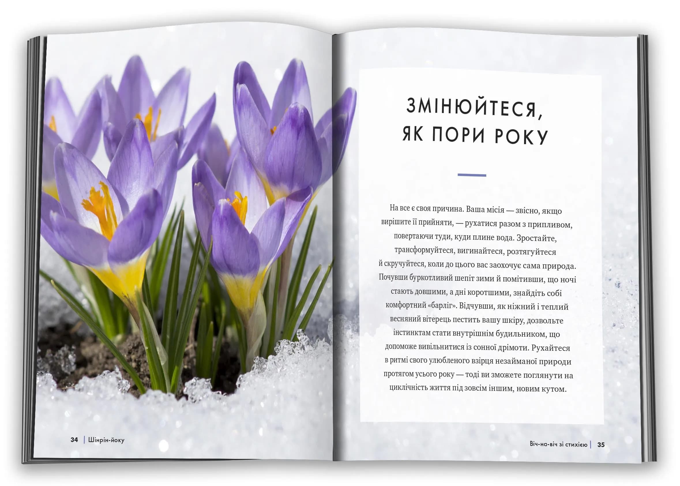 Шінрін-йоку. Цілюще мистецтво лісотерапії — мініатюра 3