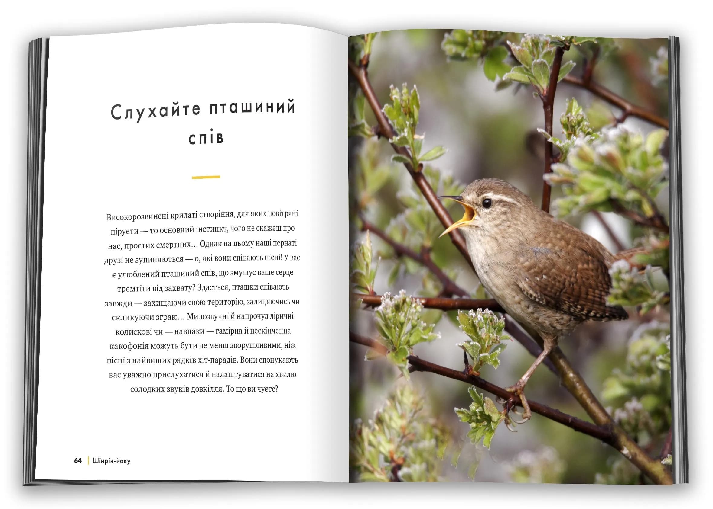 Шінрін-йоку. Цілюще мистецтво лісотерапії — мініатюра 4