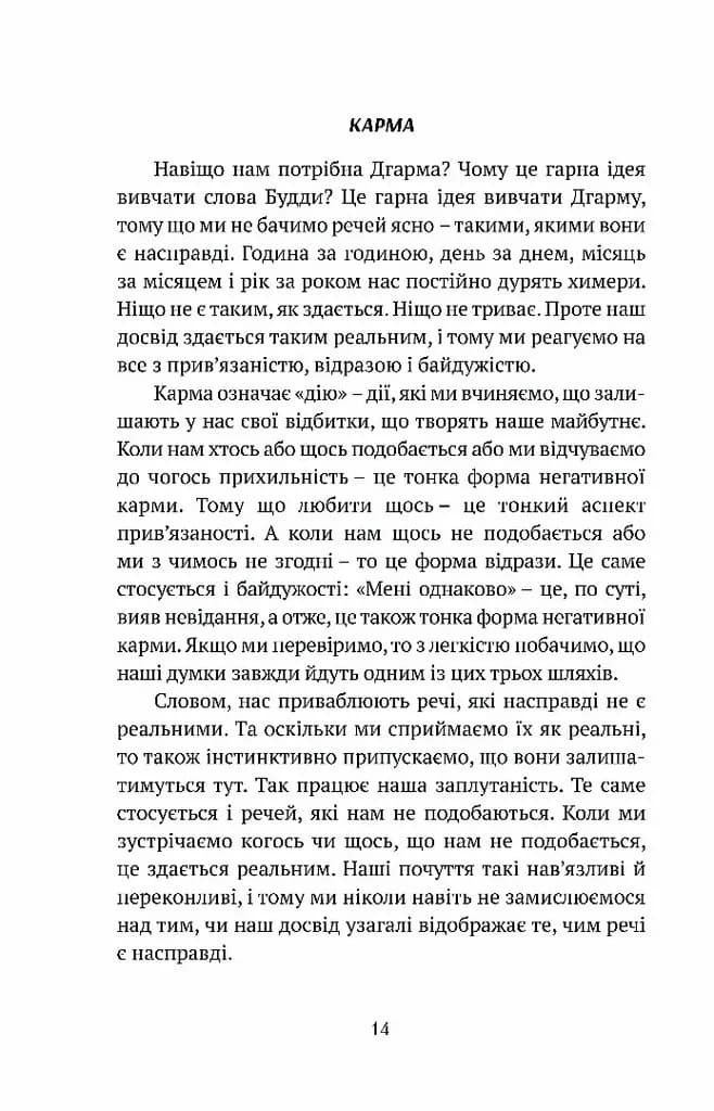 Смуток, любов, відкритість: буддійський шлях радості — мініатюра 10