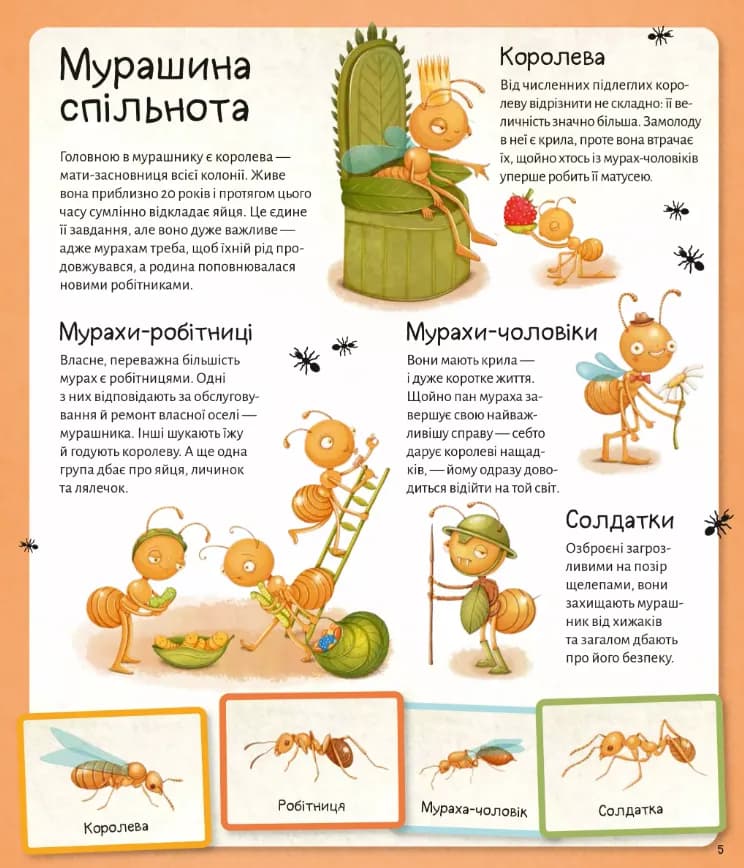 Світ мурах — мініатюра 6