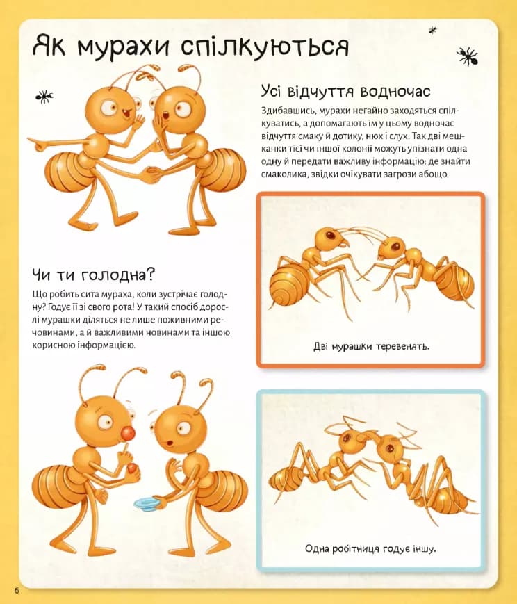 Світ мурах — мініатюра 7