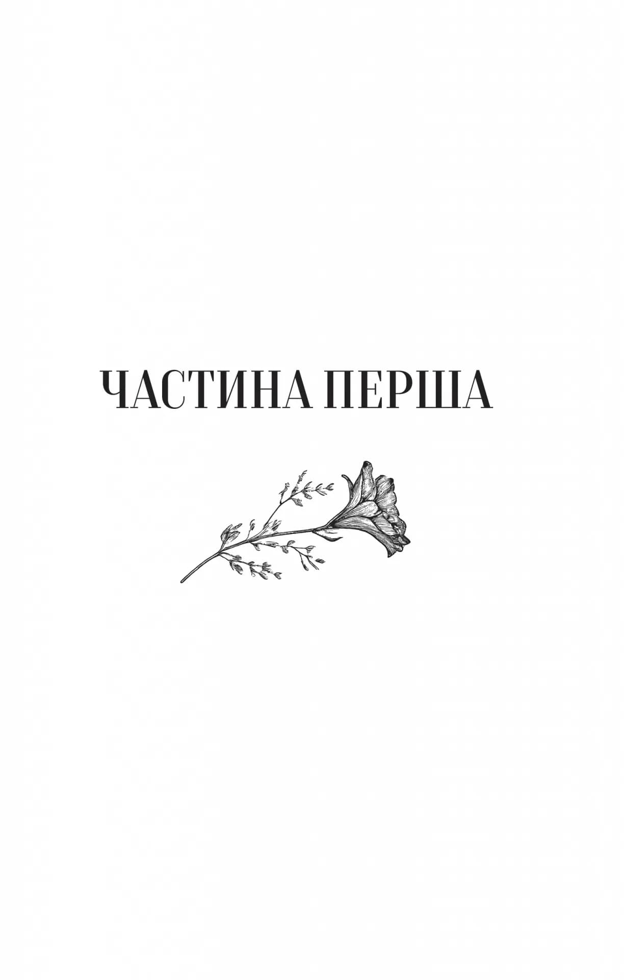 Те, що видно звідси — мініатюра 4