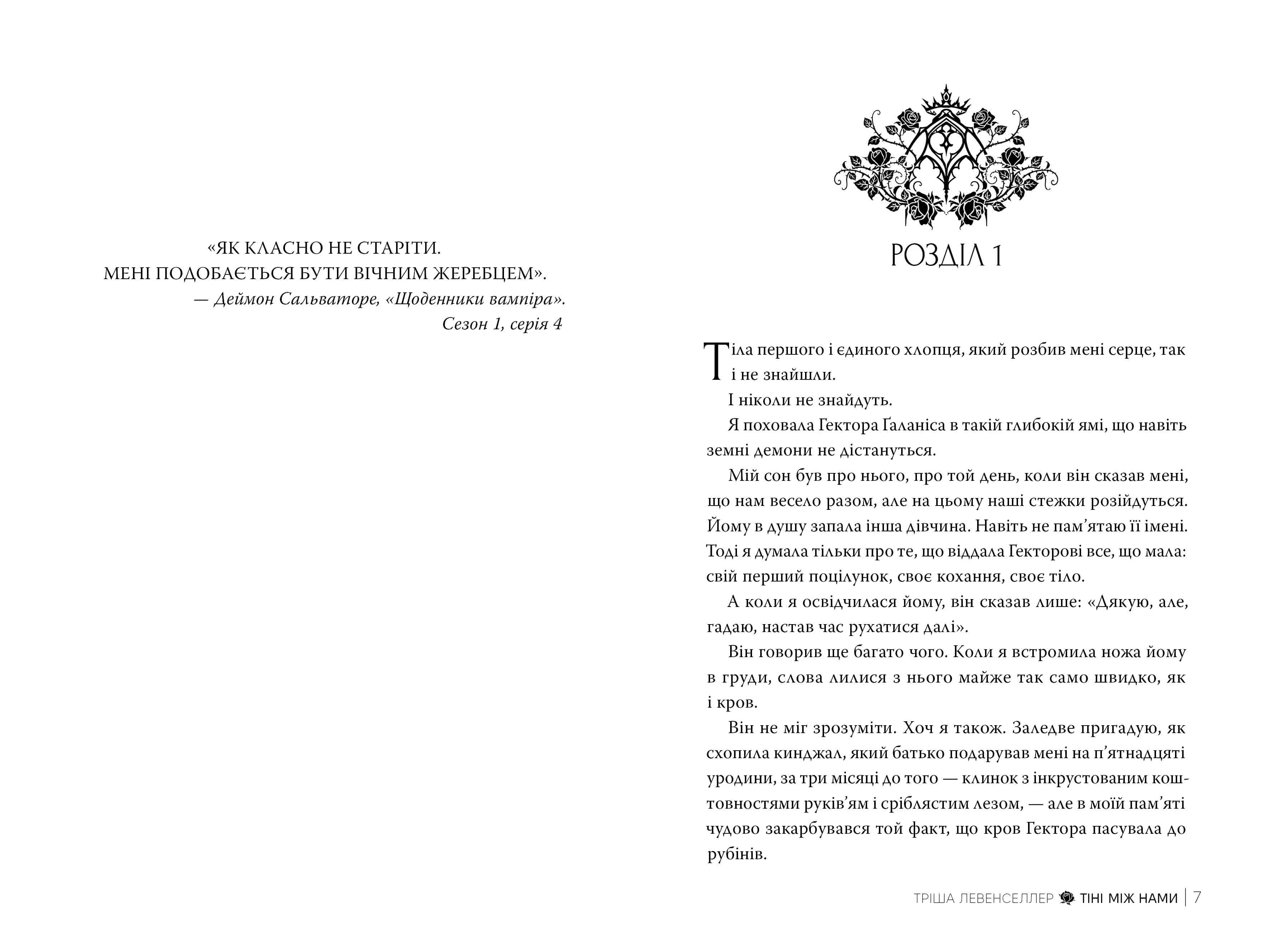 Тіні між нами. Книга 1 — мініатюра 4