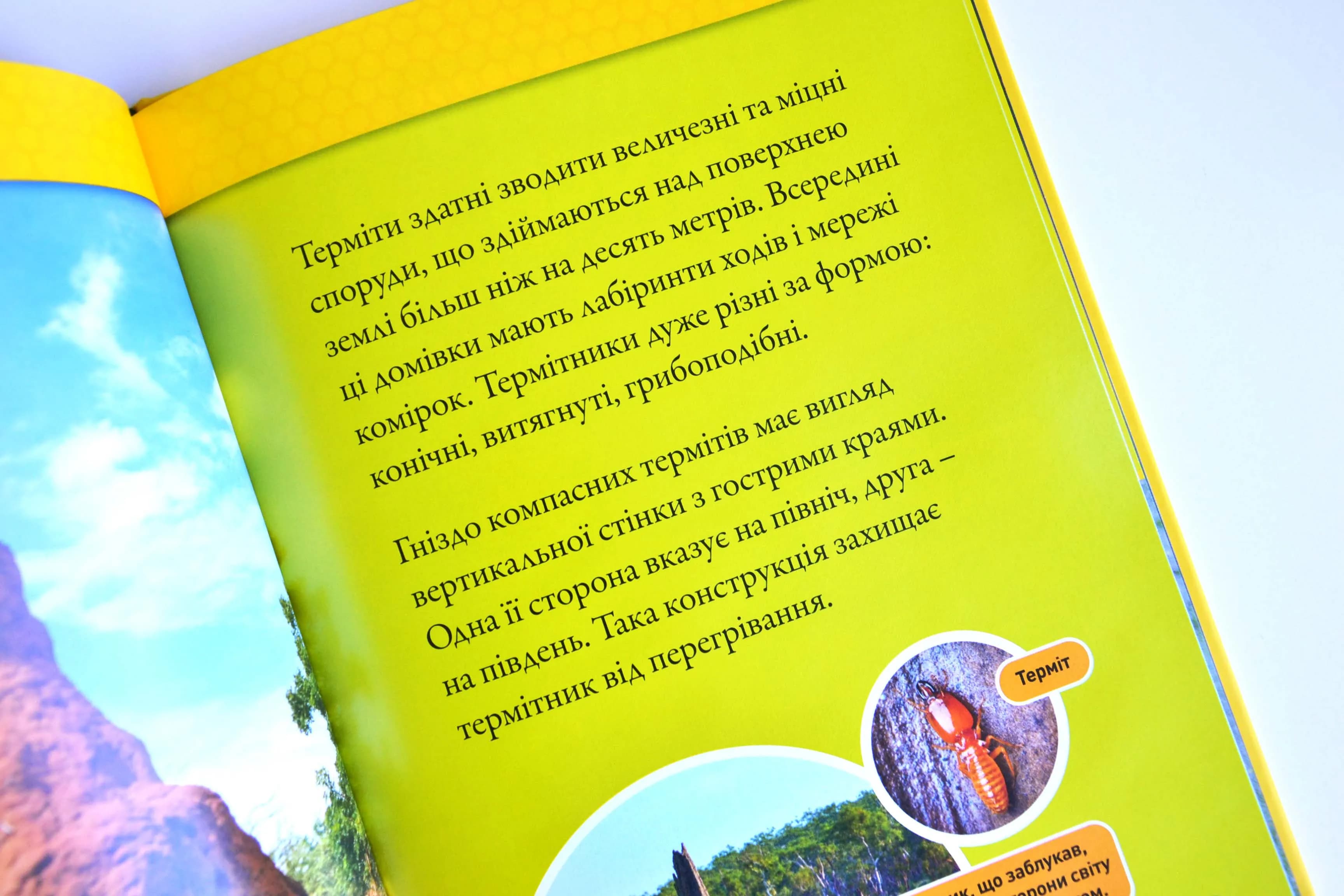 Тварини-будівники — мініатюра 5