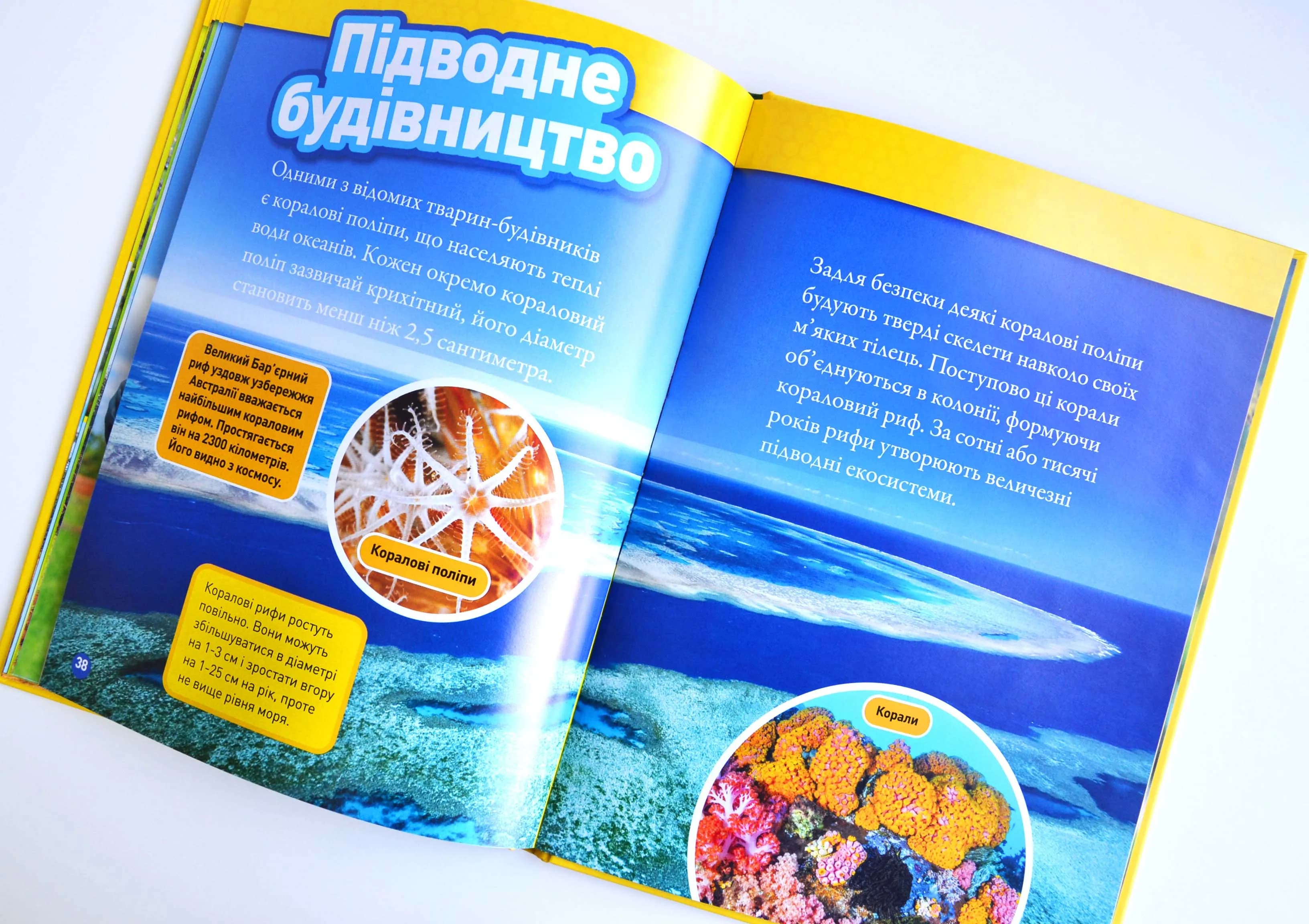 Тварини-будівники — мініатюра 6