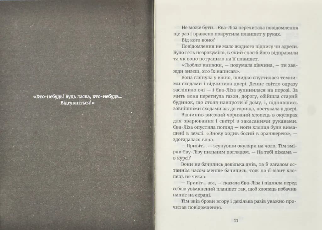У світлі світляків. Пошуки відправника. Книга 2 — мініатюра 4