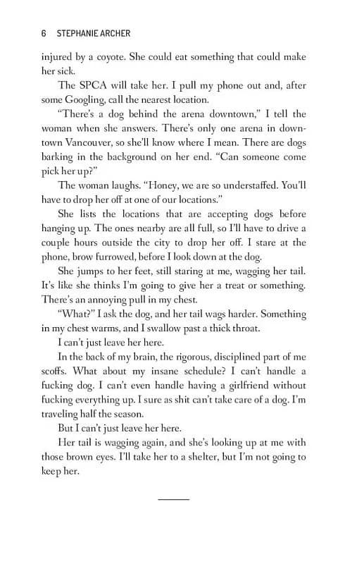 Behind The Net. Vancouver Storm. Book 1 — мініатюра 7