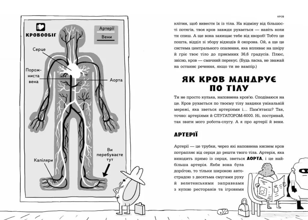 Анатомія для дітей — мініатюра 4